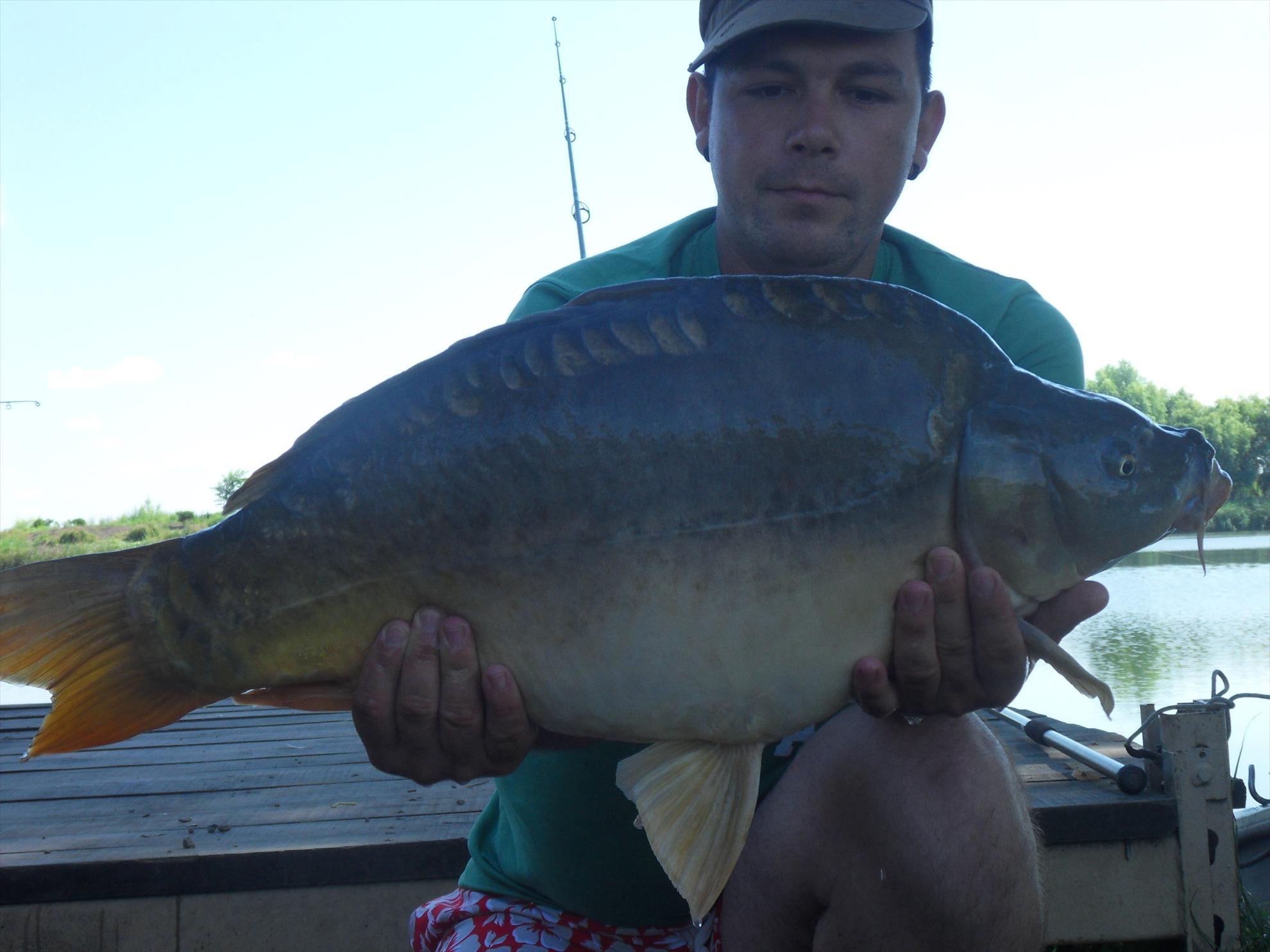 Nagykallo 2011 - nagykallo2011-206.JPG